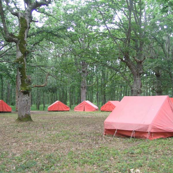 peque1 campa